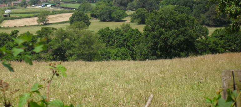 Protecting our precious Green Belt