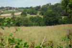 Protecting our precious Green Belt